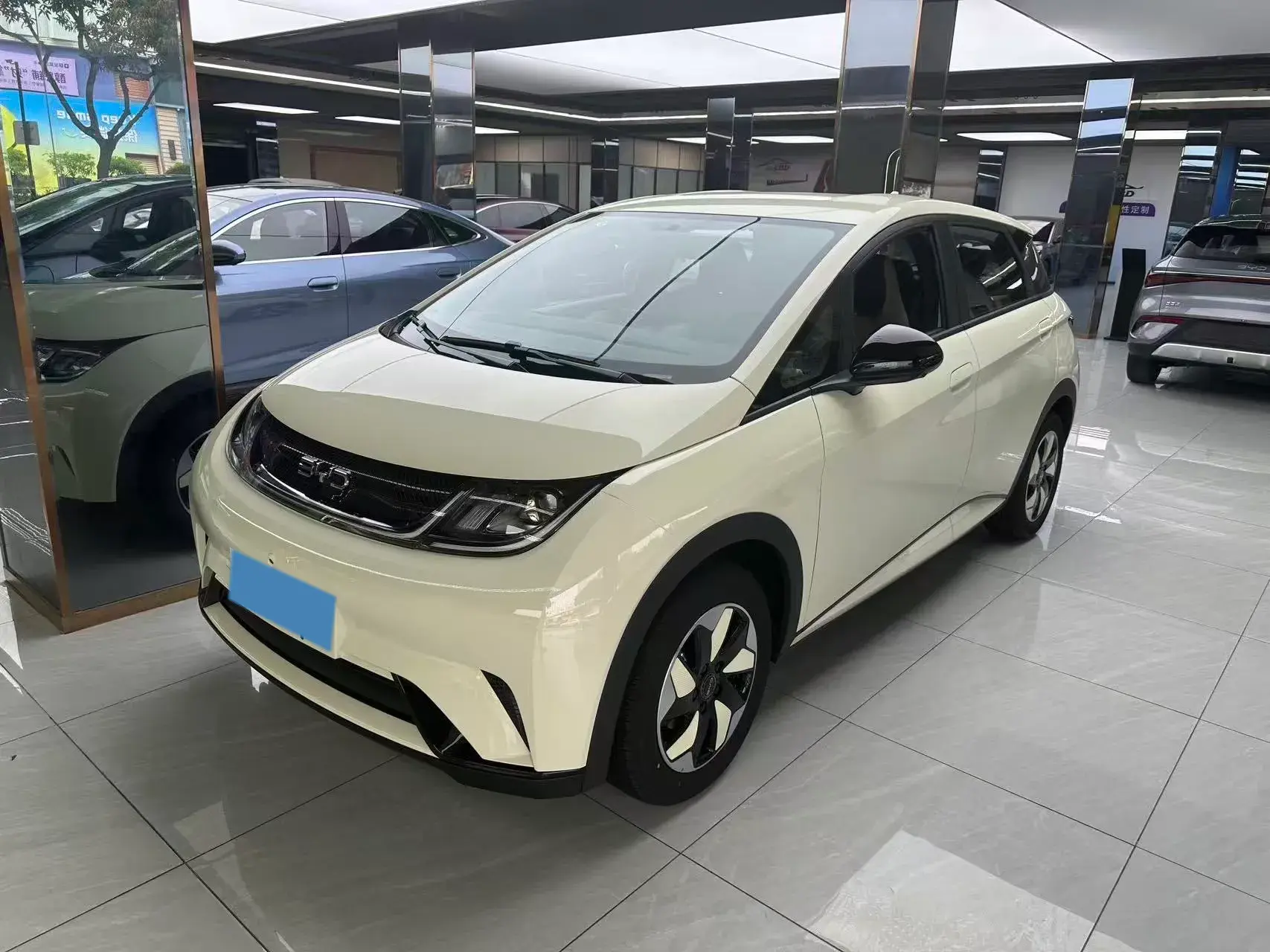 2025 BYD DOLPHIN view 1