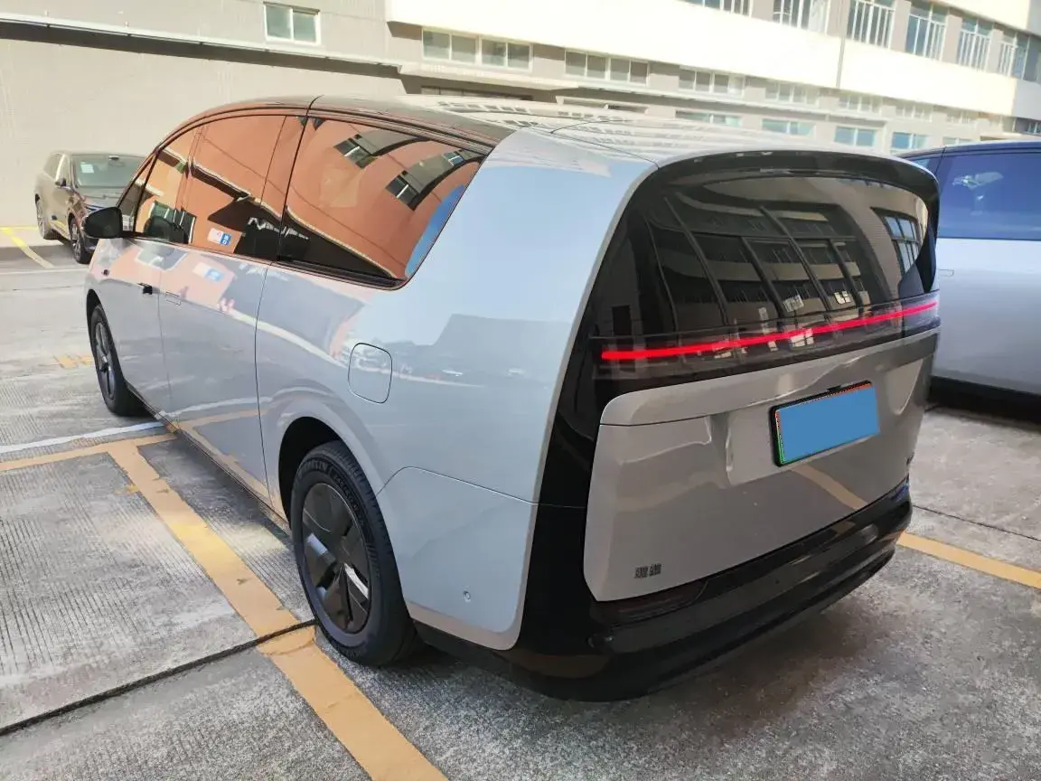 2024 LI MEGA thumbnail 4