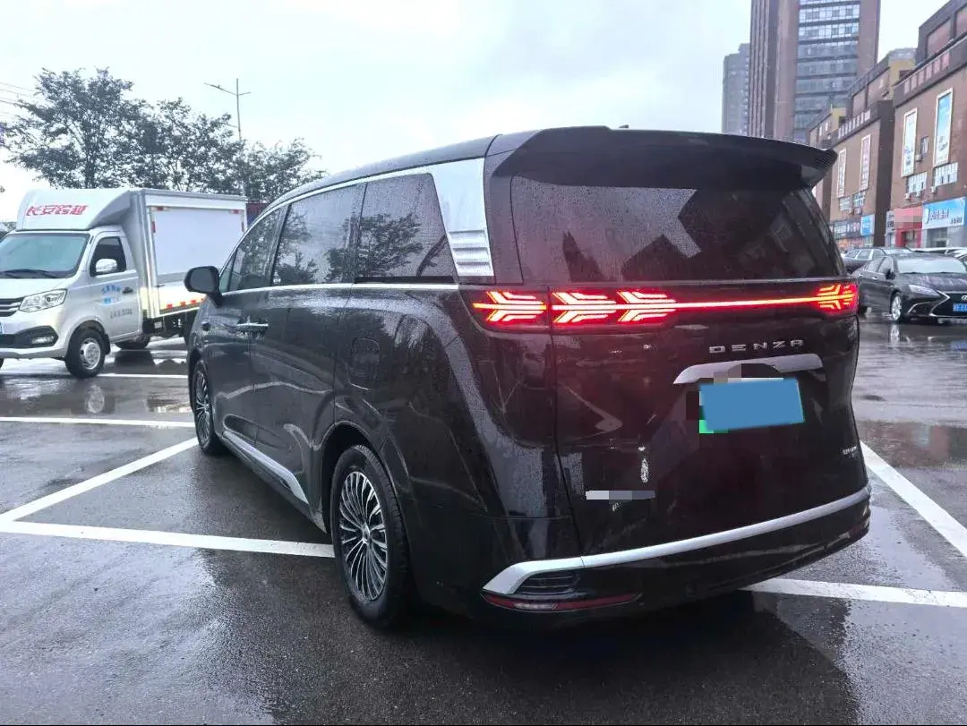 2024 DENZA D9 thumbnail 4