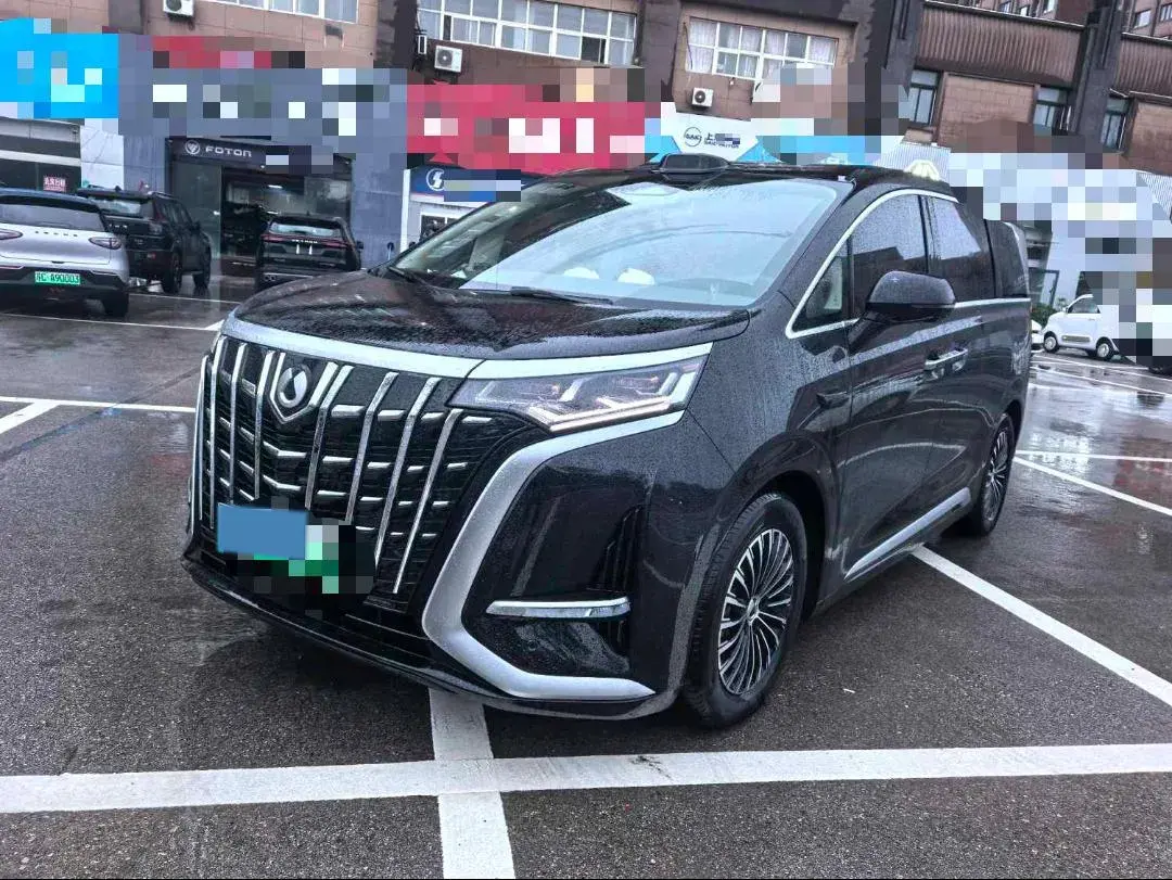 2024 DENZA D9 view 1