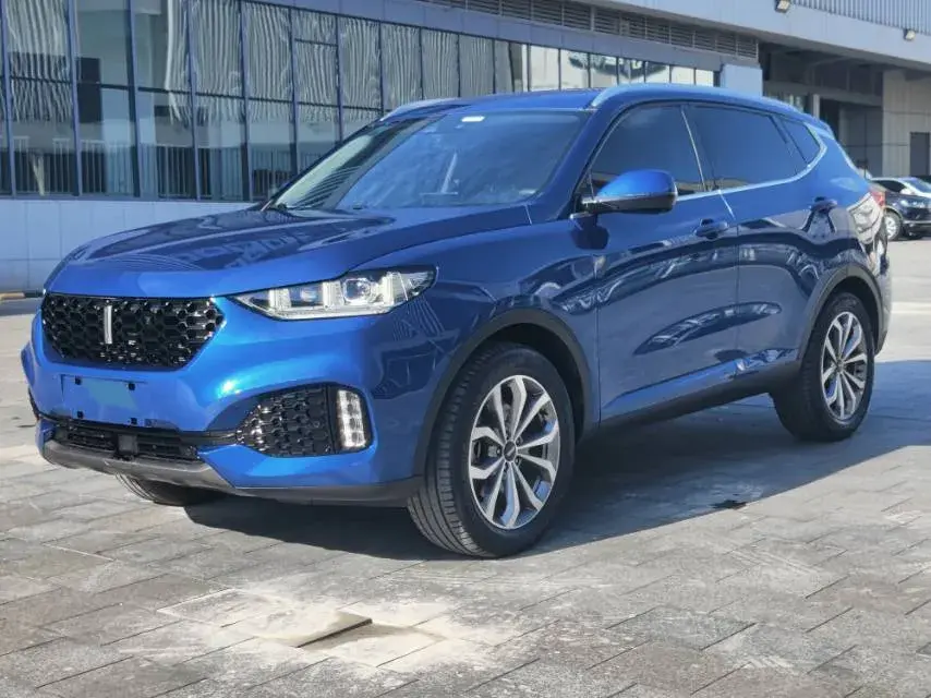 2018 WEY VV6 view 1