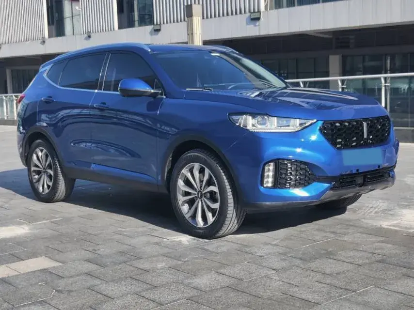 2018 WEY VV6 thumbnail 2