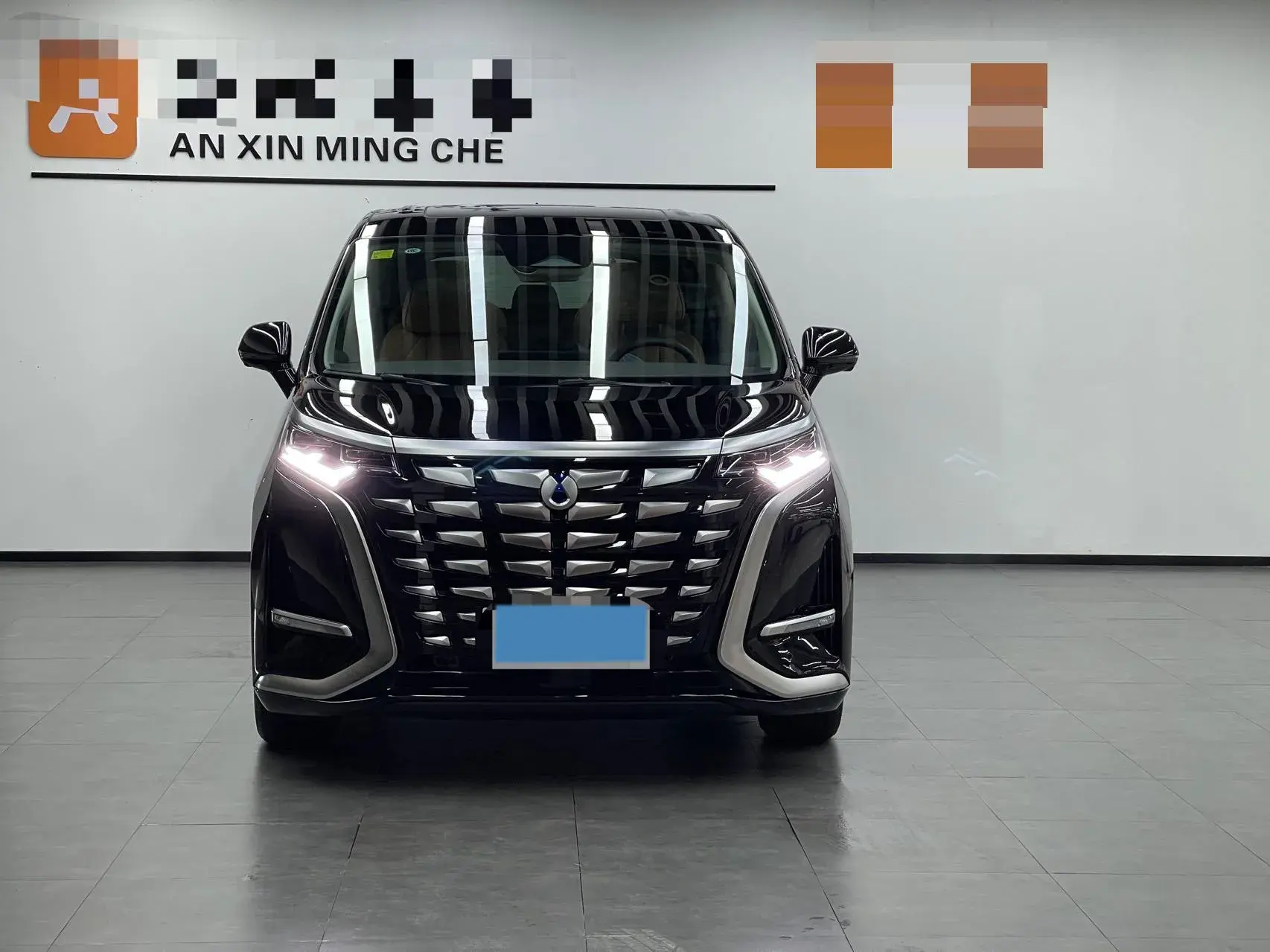 2024 DENZA D9 thumbnail 2