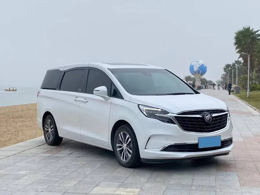 2020 BUICK GL8 thumbnail 3