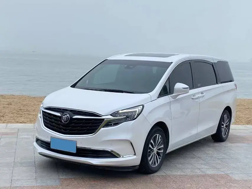 2020 BUICK GL8 view 1