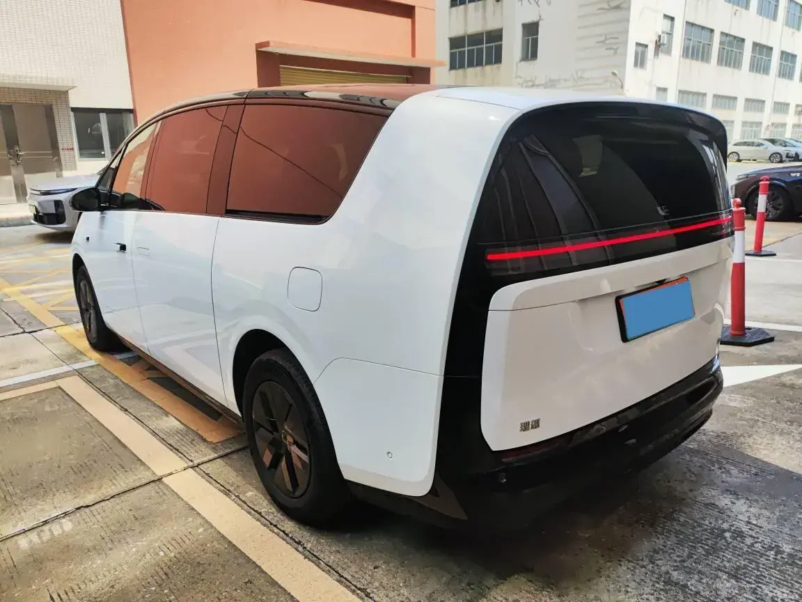 2024 LI MEGA thumbnail 4