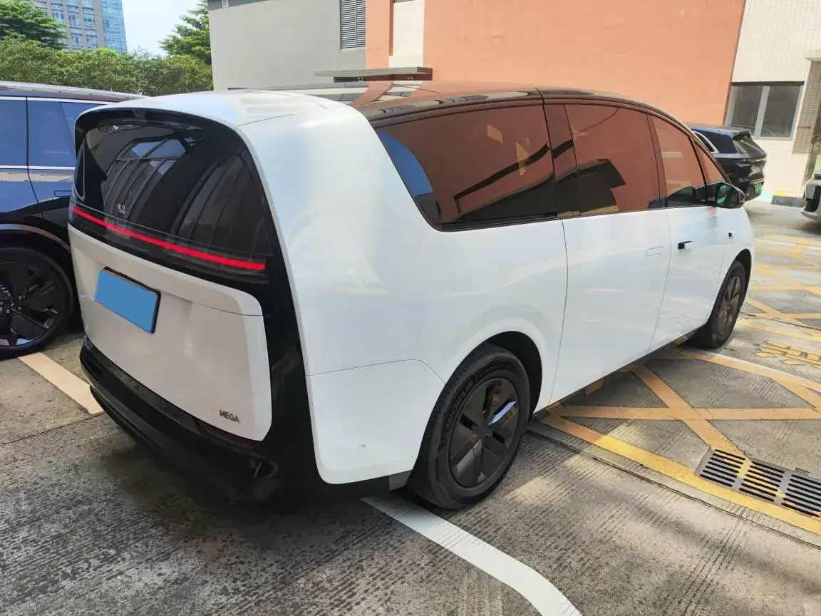 2024 LI MEGA thumbnail 2