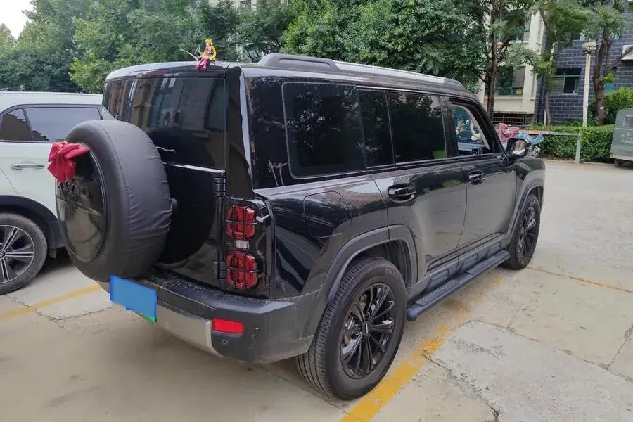 2024 HAVAL RAPTOR thumbnail 2