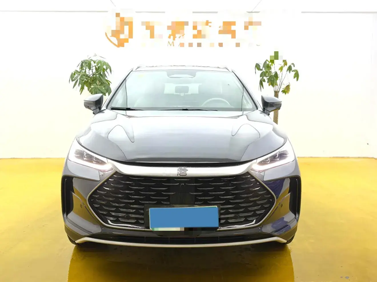 2025 BYD TANG thumbnail 2