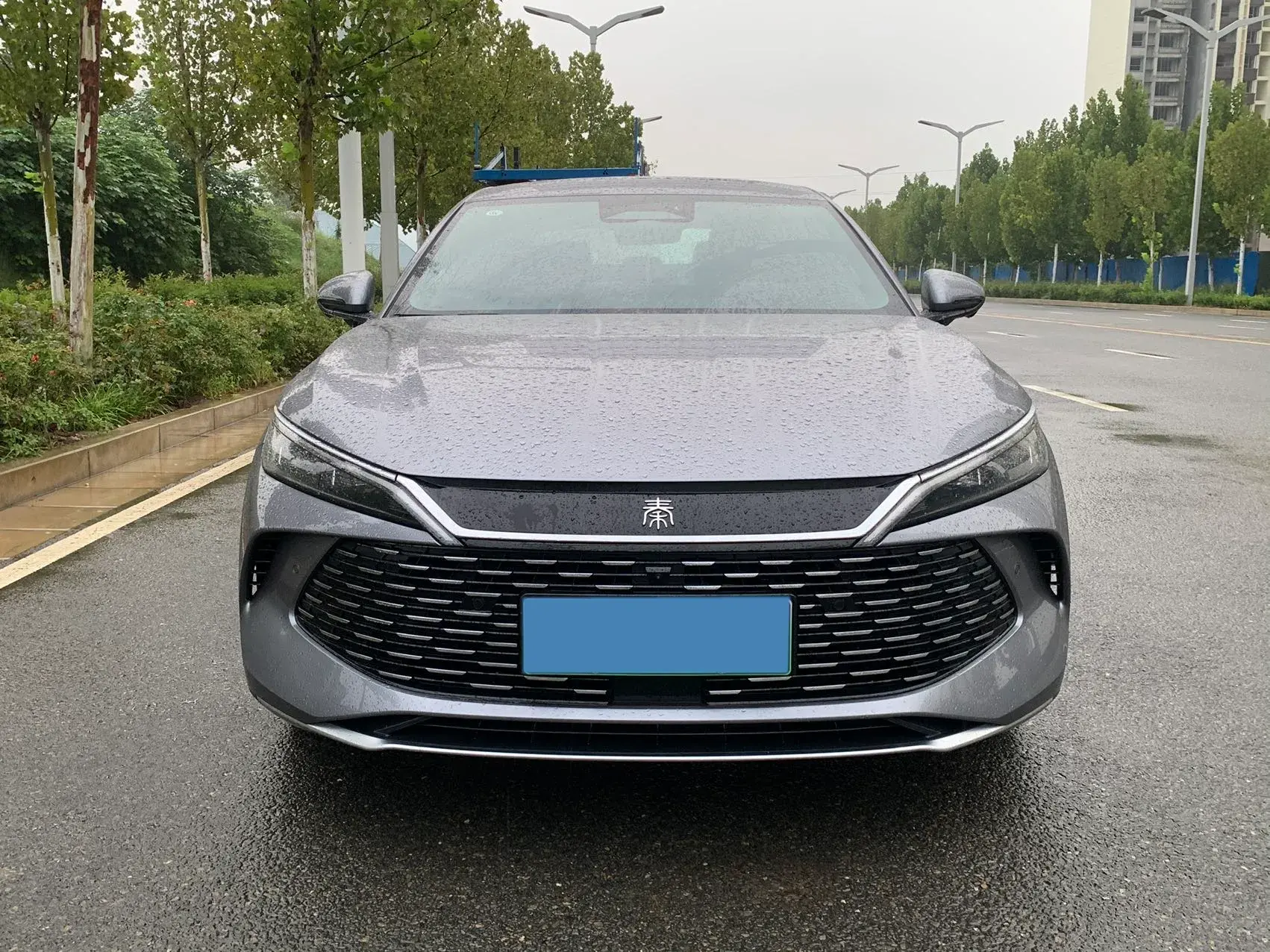 2025 BYD QINL thumbnail 2