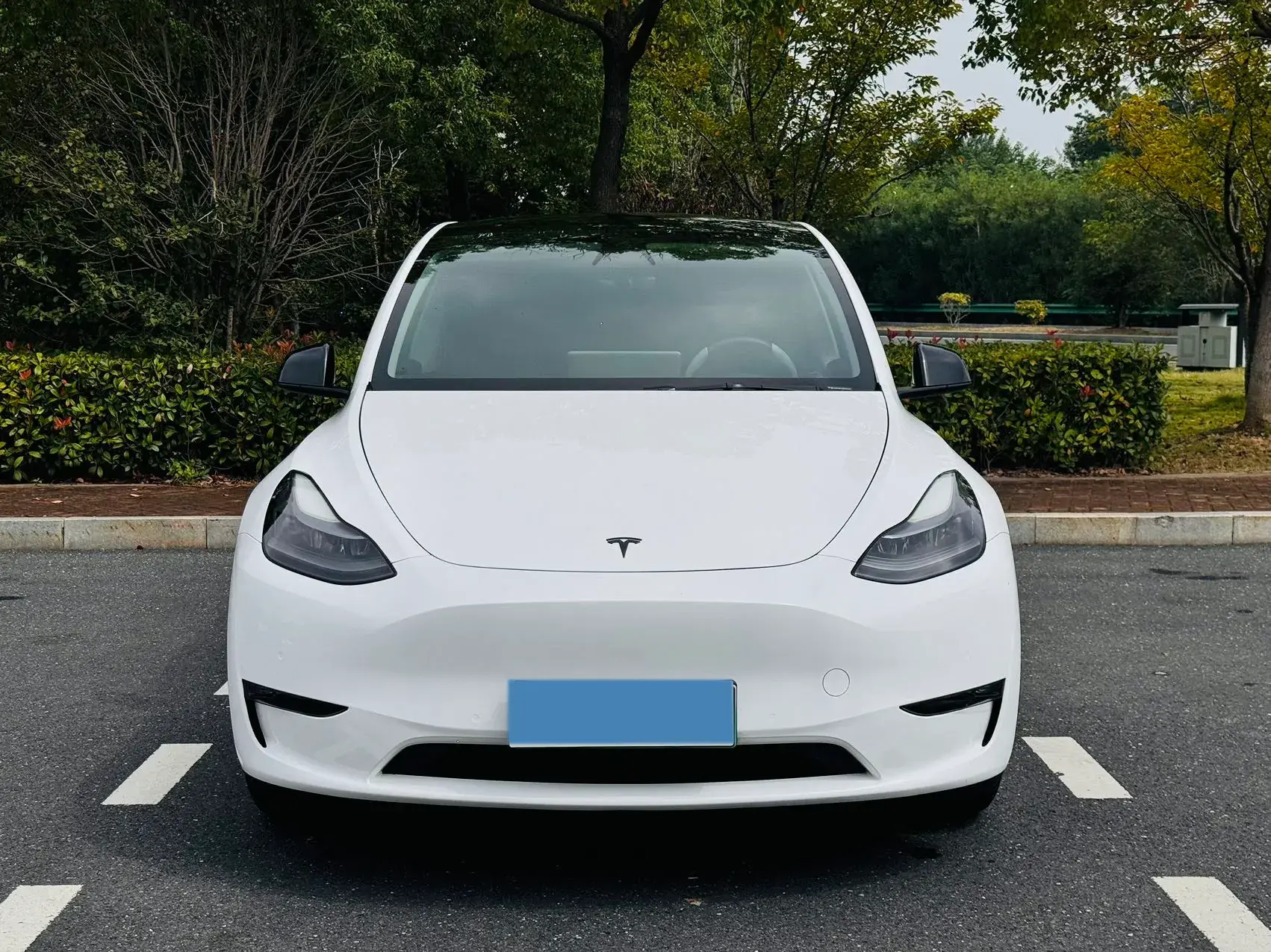 2021 TESLA MODEL thumbnail 2