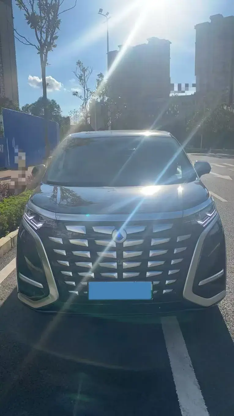 2022 DENZA D9 thumbnail 2