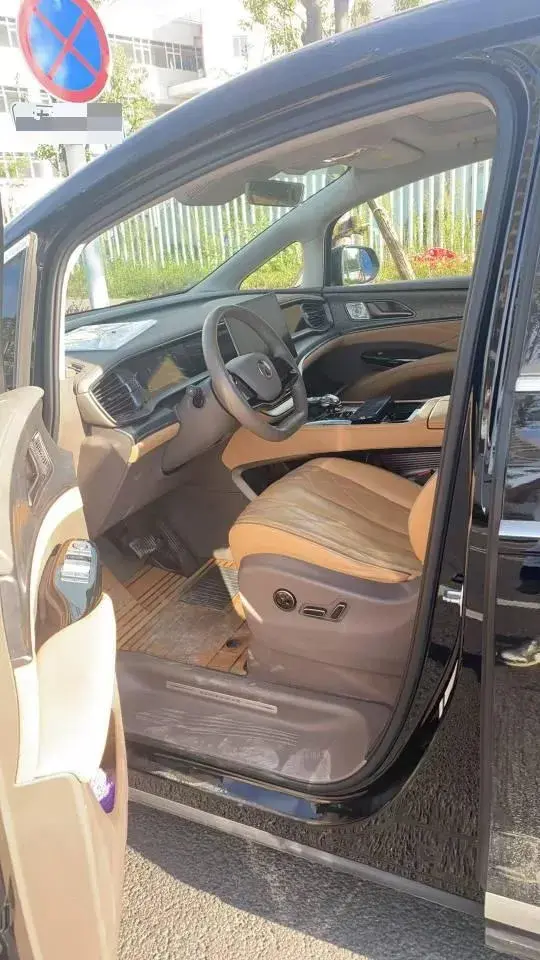 2022 DENZA D9 thumbnail 4