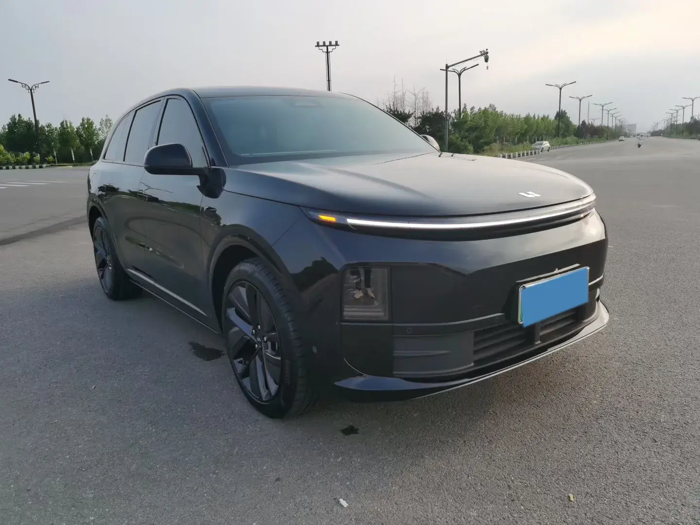 2025 LI L6 thumbnail 3