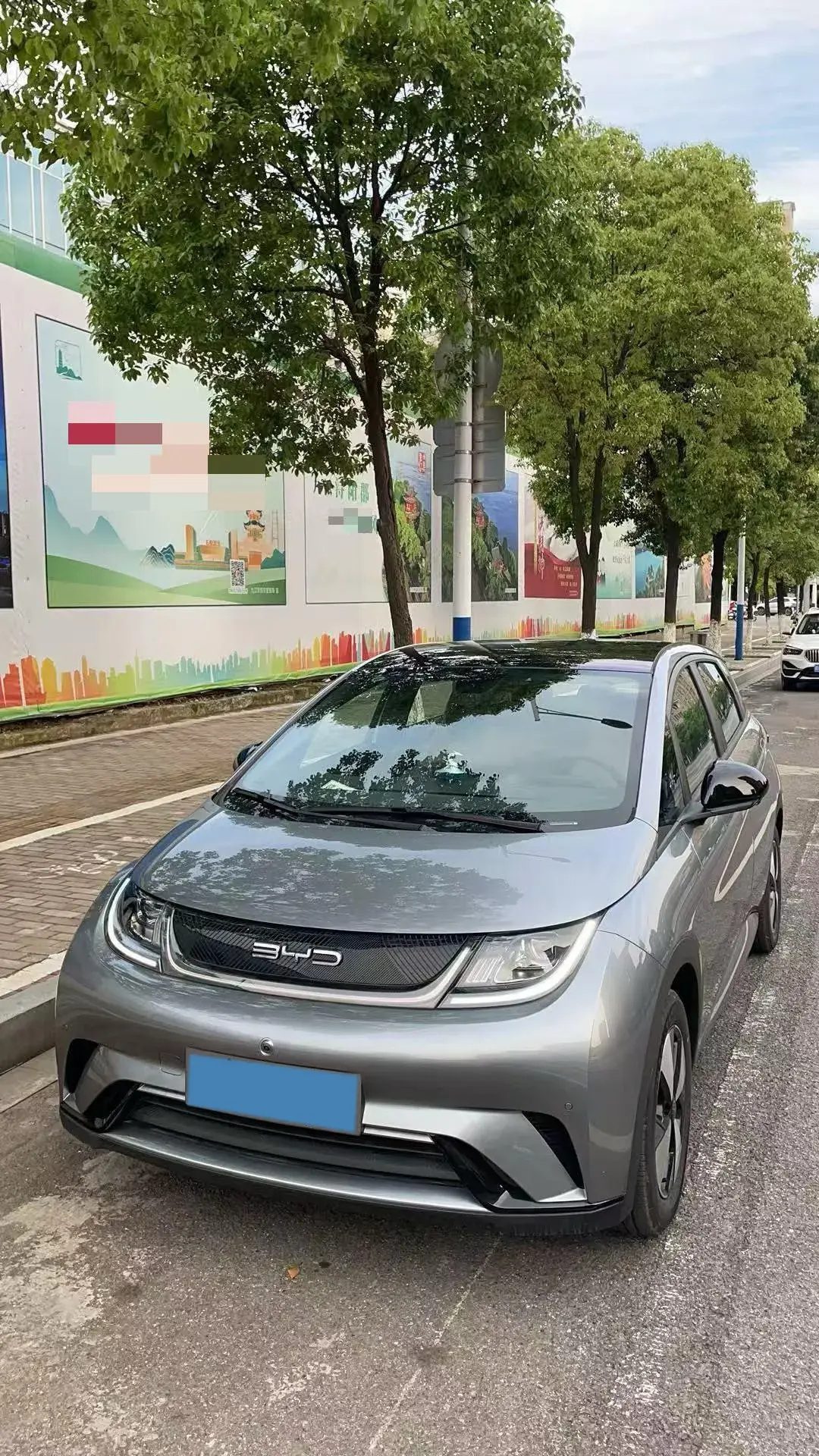 2023 BYD DOLPHIN view 1