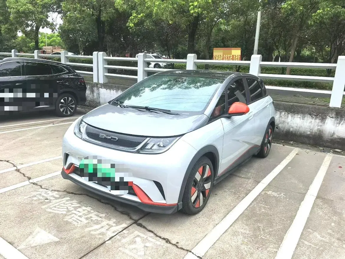 2021 BYD DOLPHIN view 1