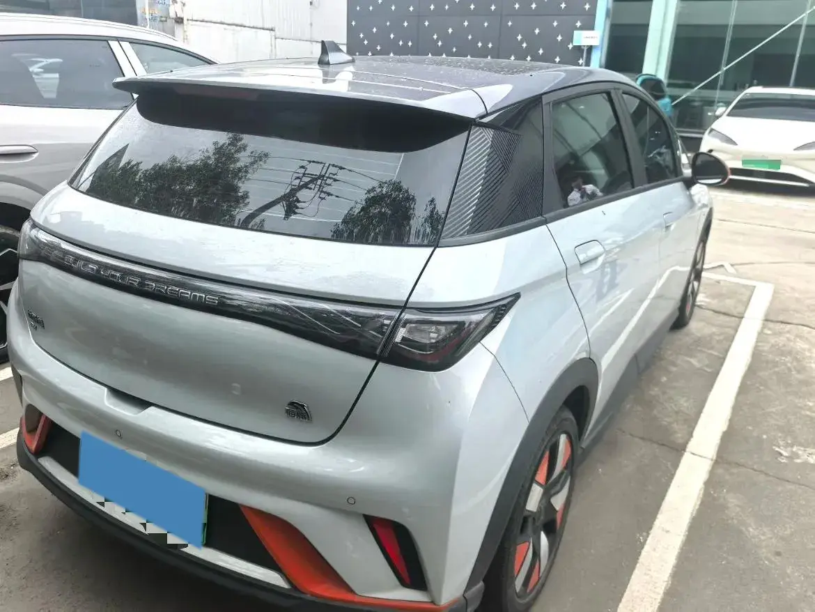 2021 BYD DOLPHIN thumbnail 3