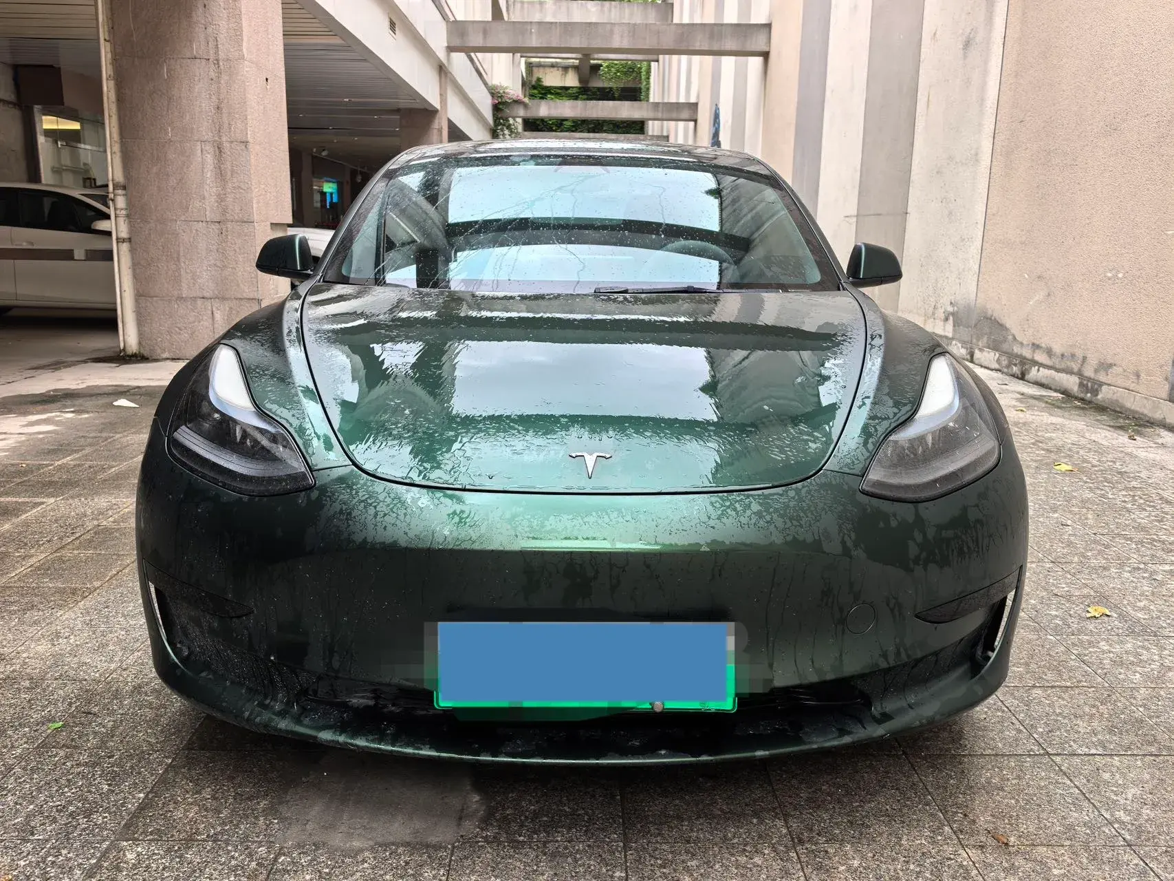 2022 TESLA MODEL thumbnail 2