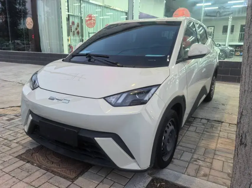 2023 BYD SEAGULL view 1