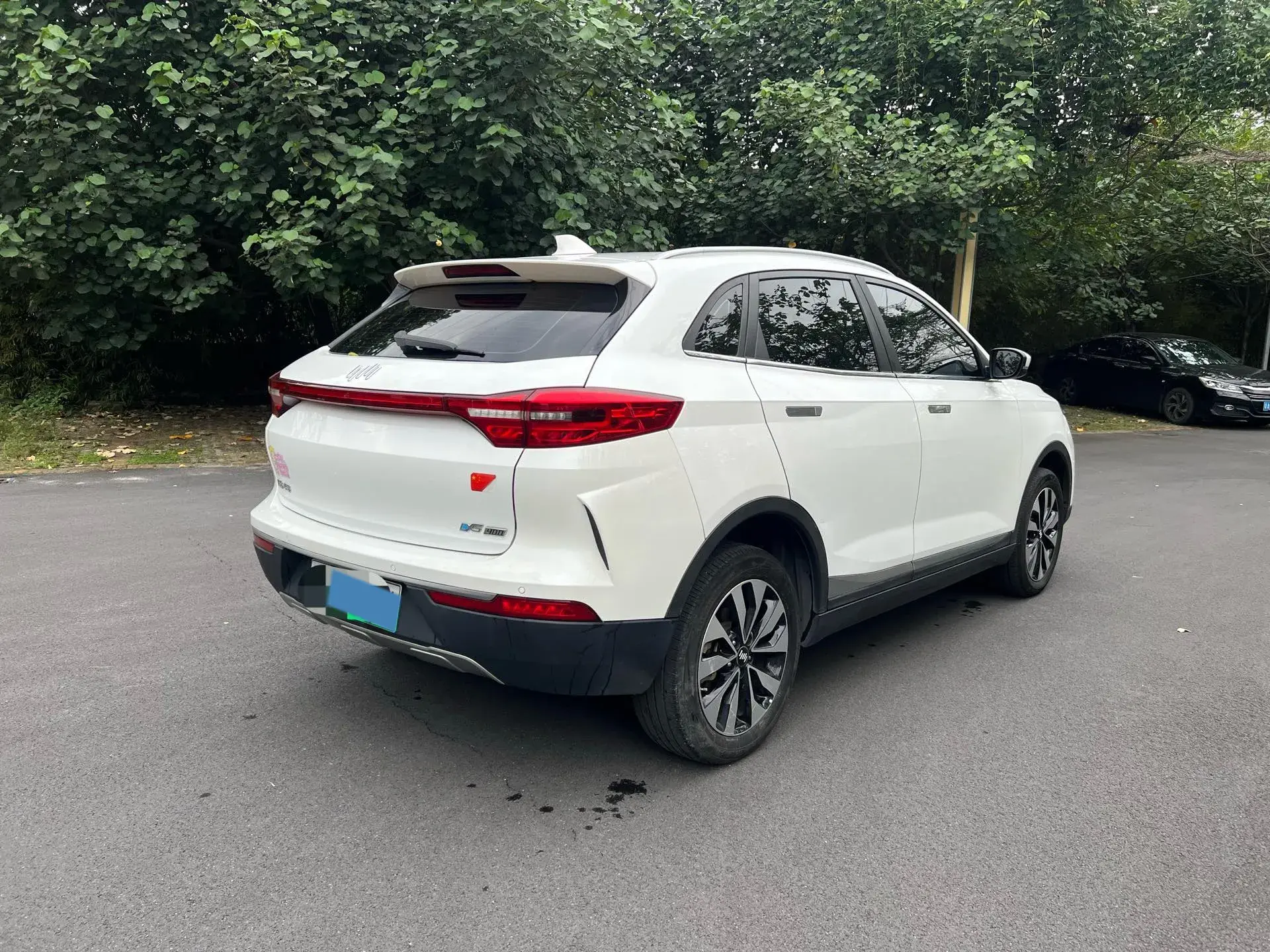 2021 WELTMEISTER EX5 thumbnail 4