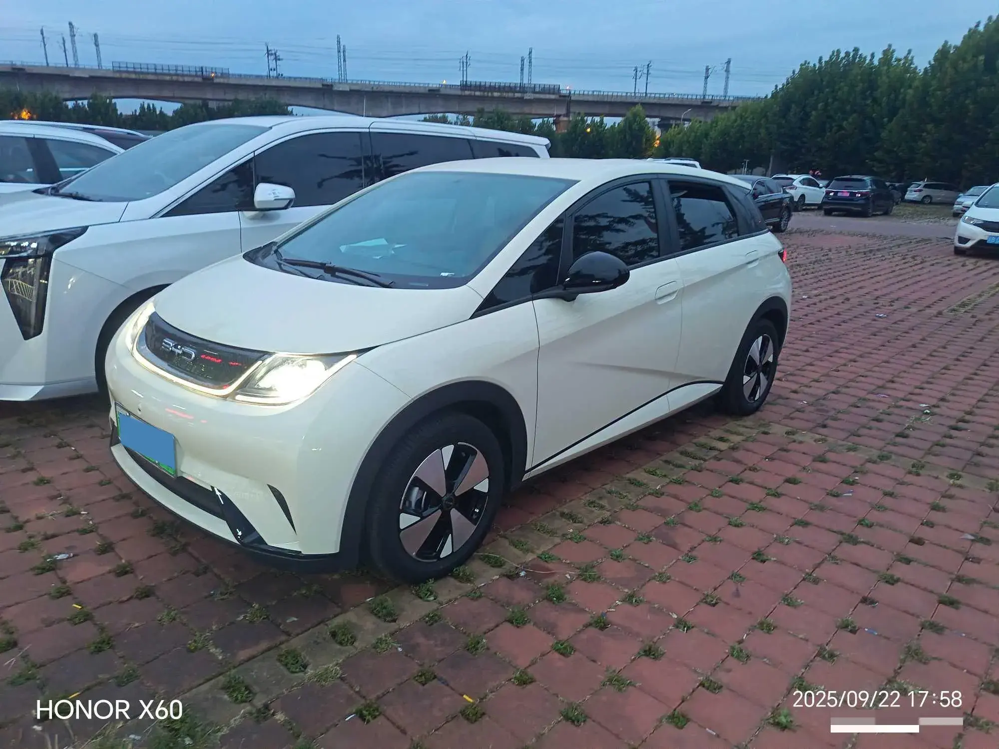 2023 BYD DOLPHIN view 1