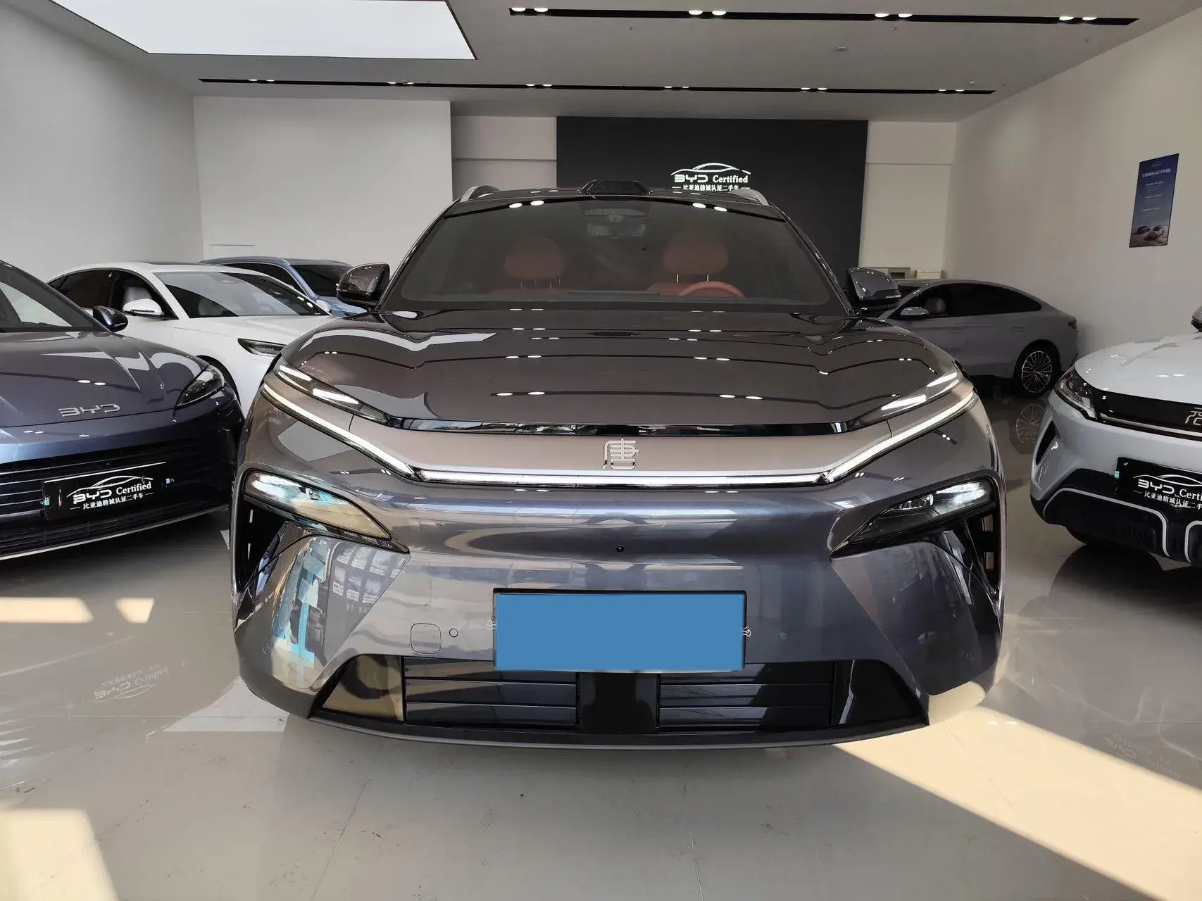 2025 BYD TANGL thumbnail 2