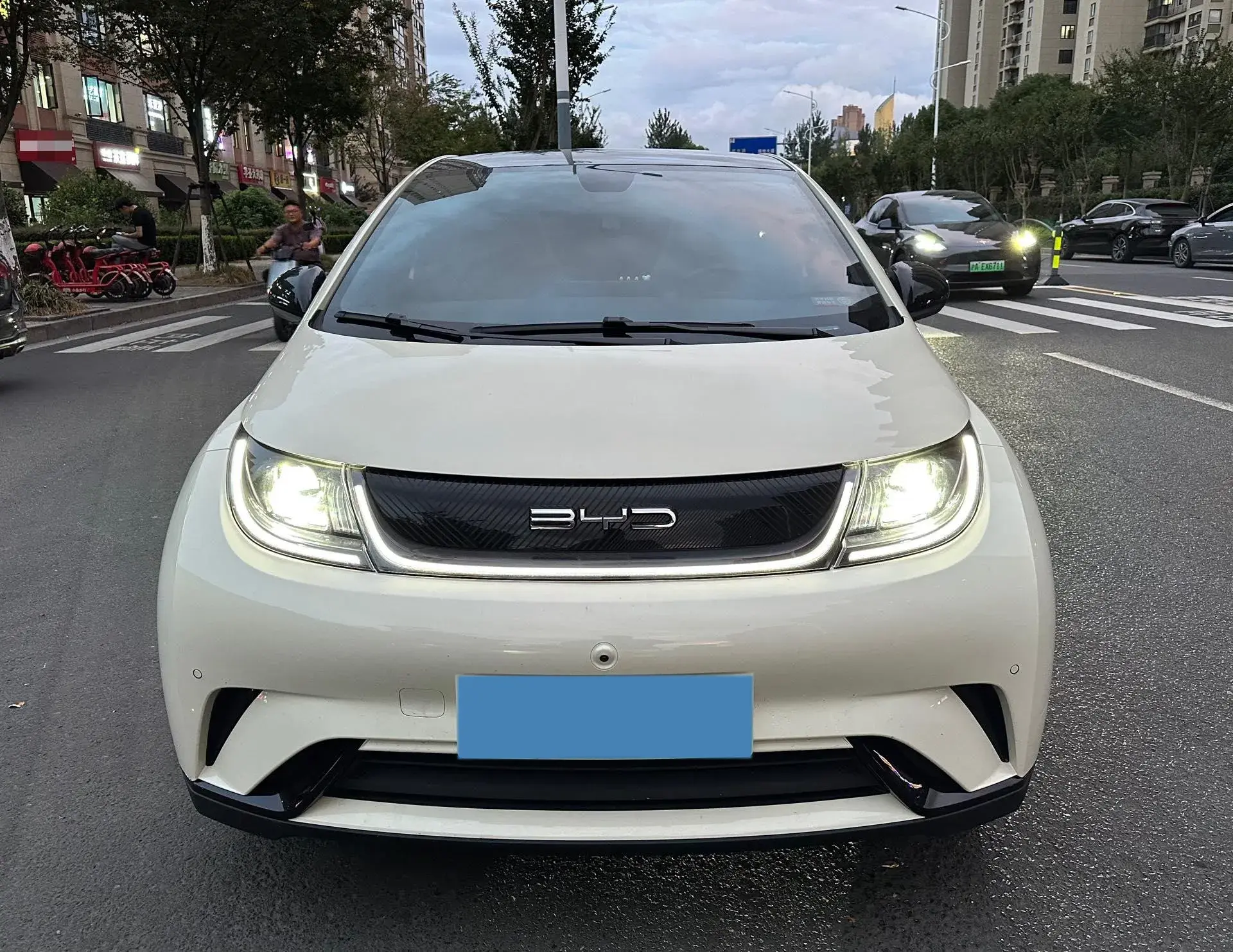 2023 BYD DOLPHIN thumbnail 2