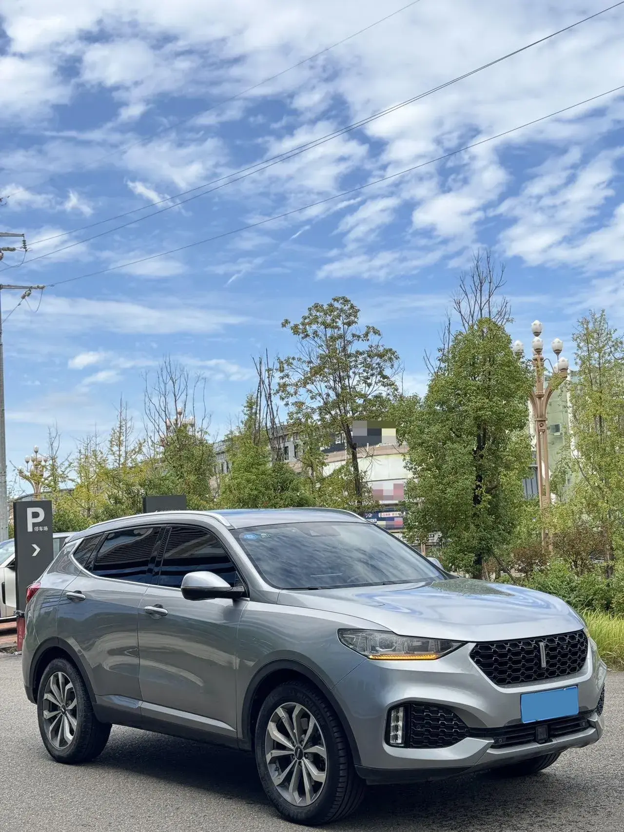 2018 WEY VV6 thumbnail 3