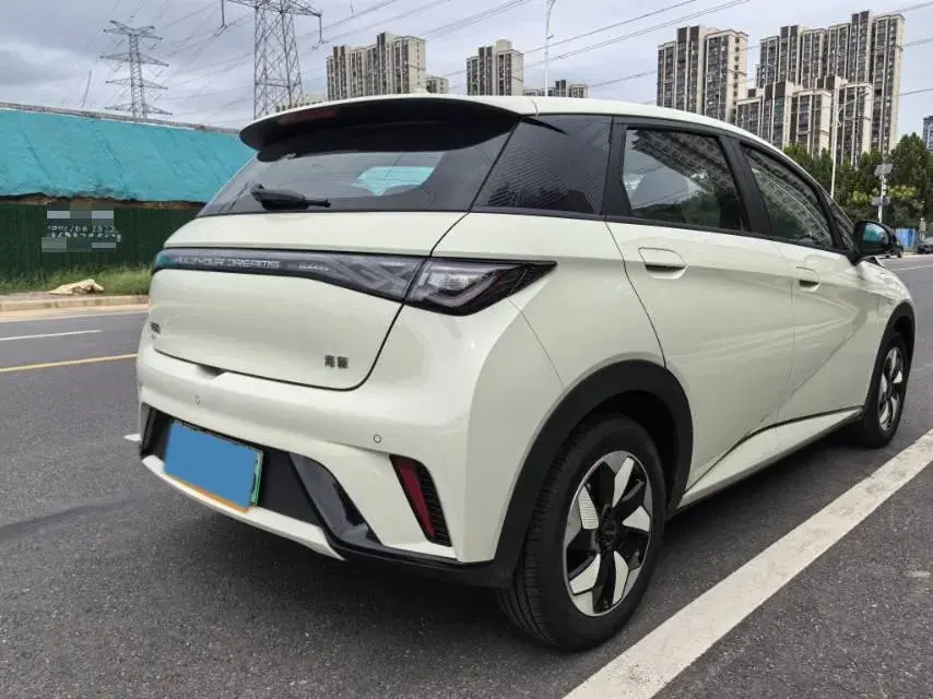 2025 BYD DOLPHIN thumbnail 3