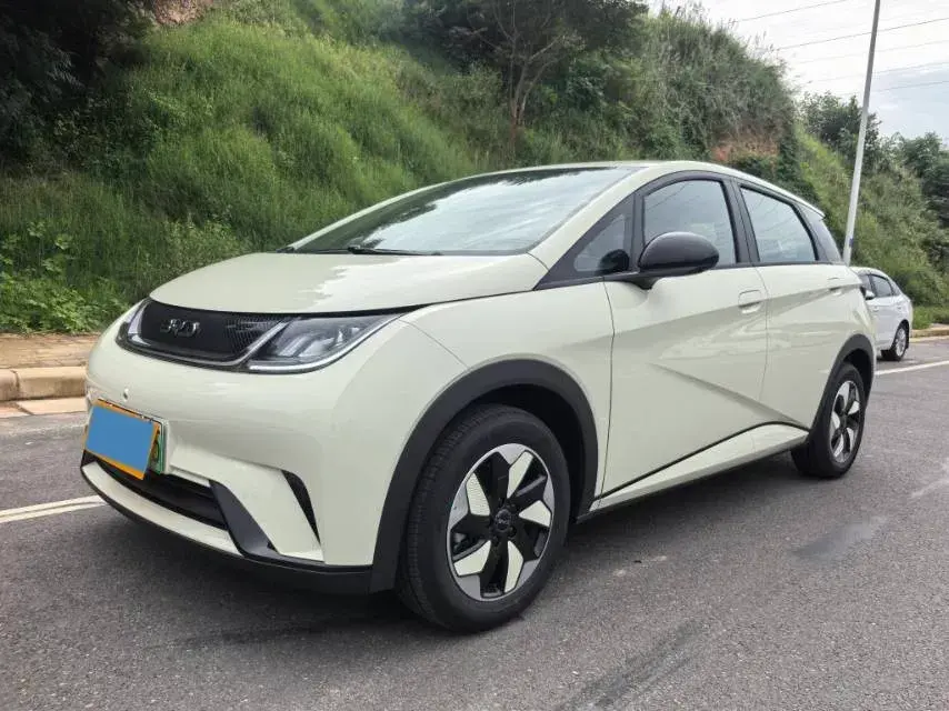 2025 BYD DOLPHIN view 1