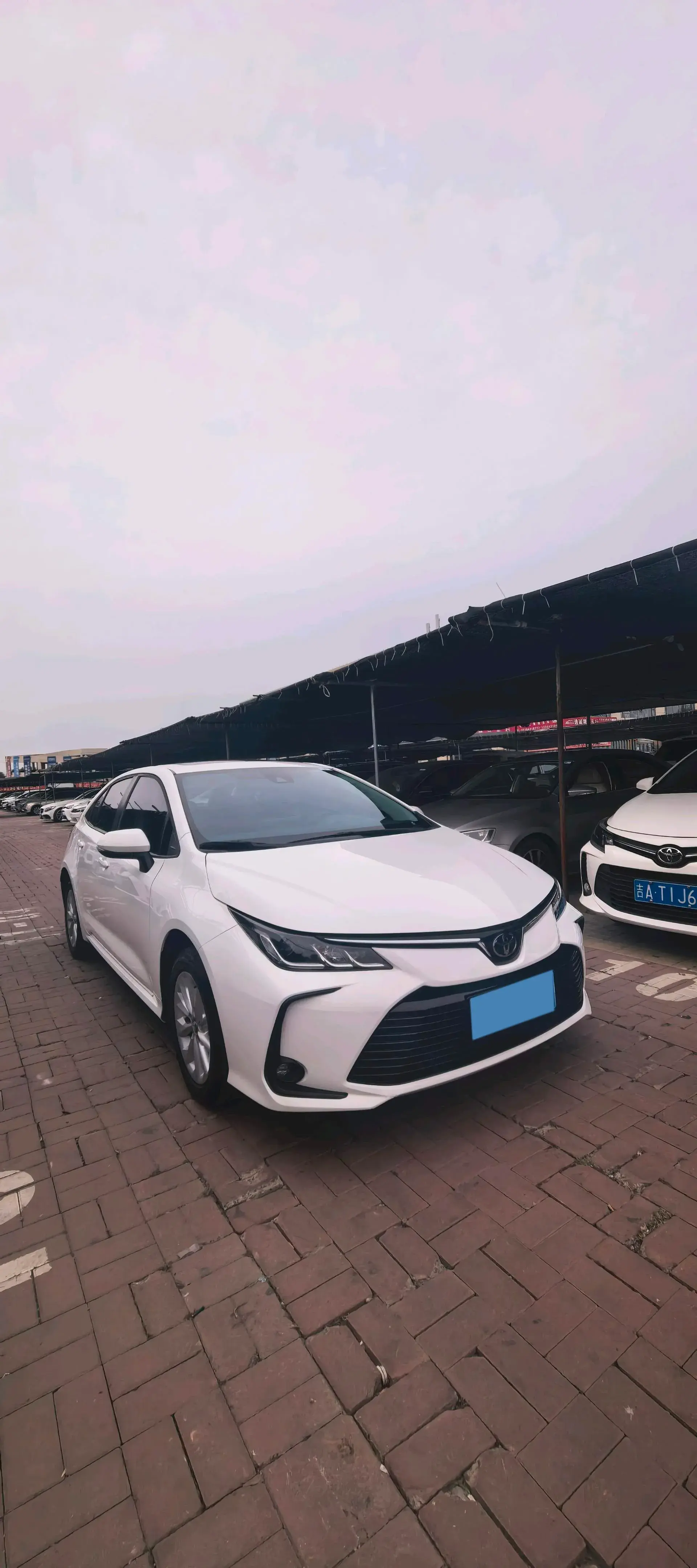 2021 TOYOTA COROLLA thumbnail 3