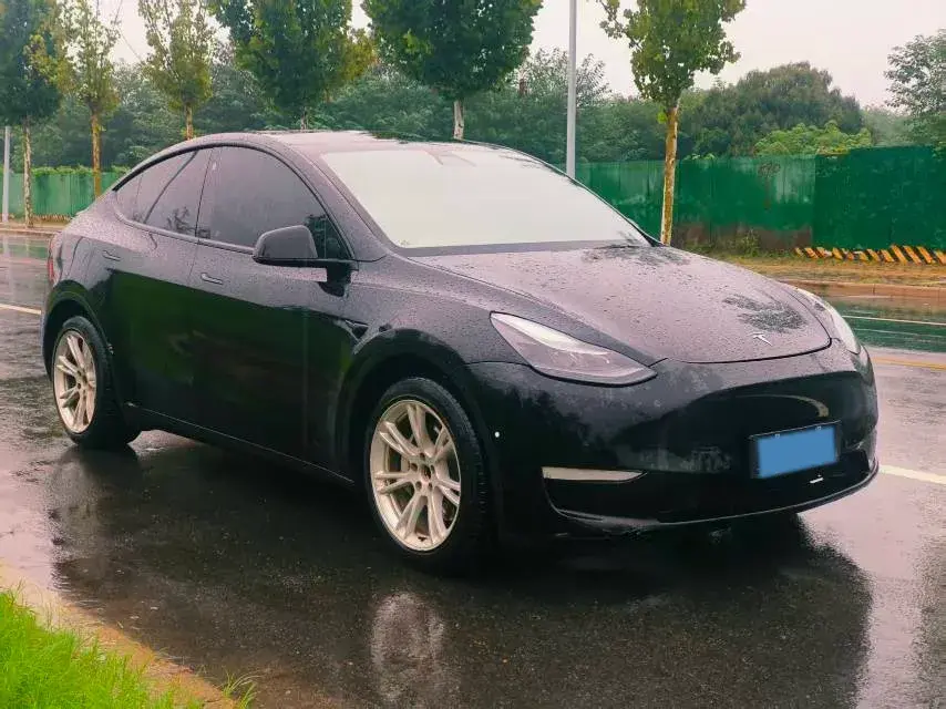 2021 TESLA MODEL thumbnail 3