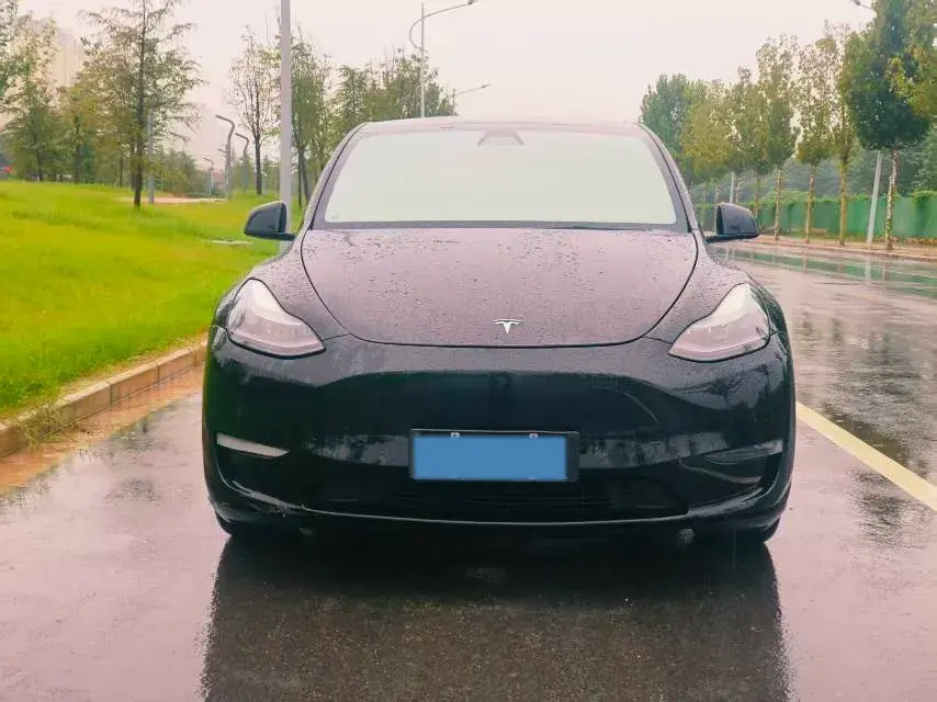 2021 TESLA MODEL thumbnail 2