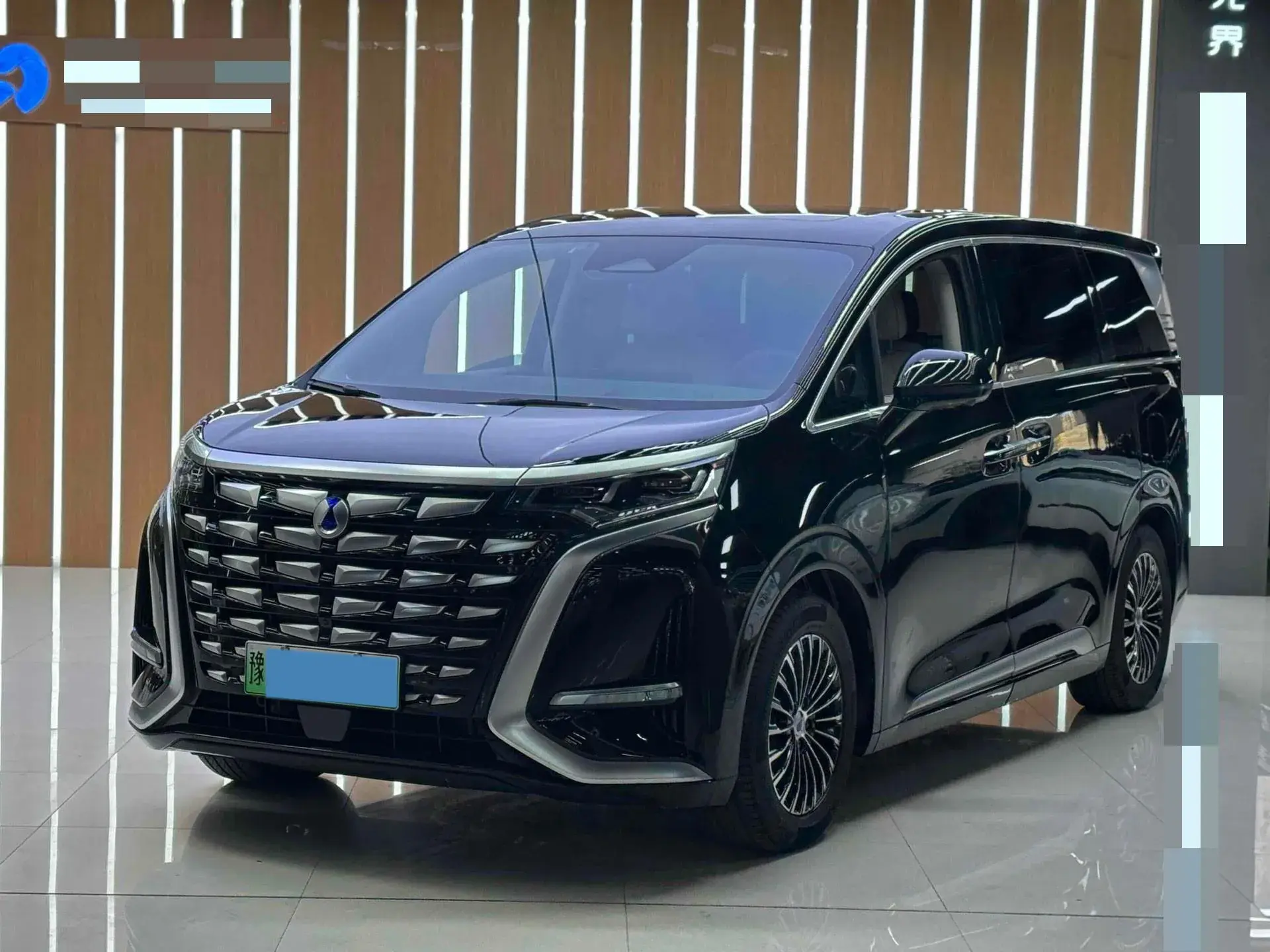 2022 DENZA D9 view 1