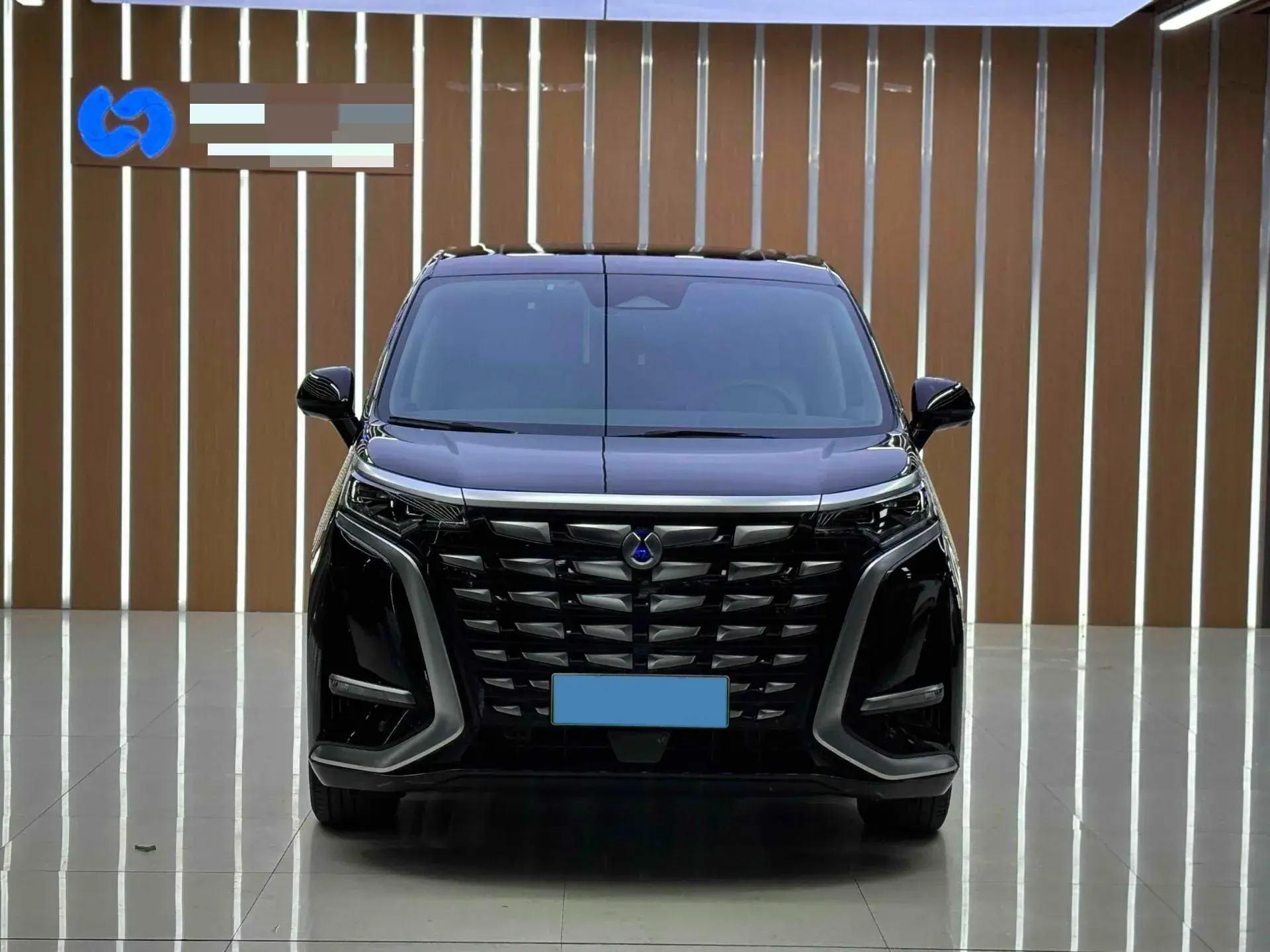 2022 DENZA D9 thumbnail 4