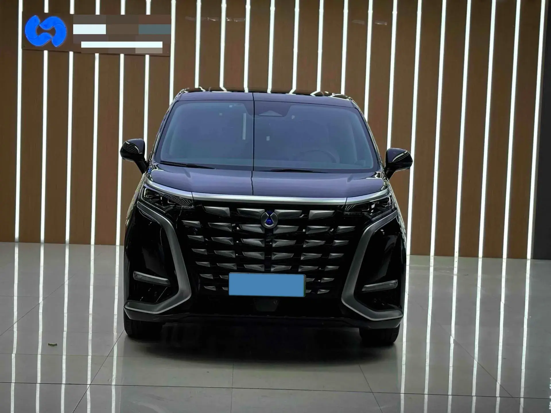 2022 DENZA D9 thumbnail 3