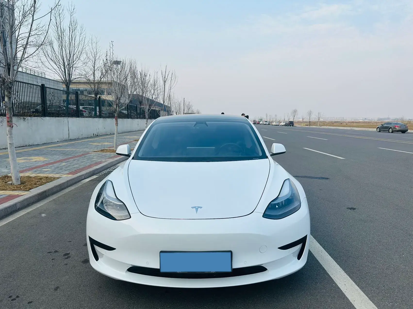 2021 TESLA MODEL thumbnail 2