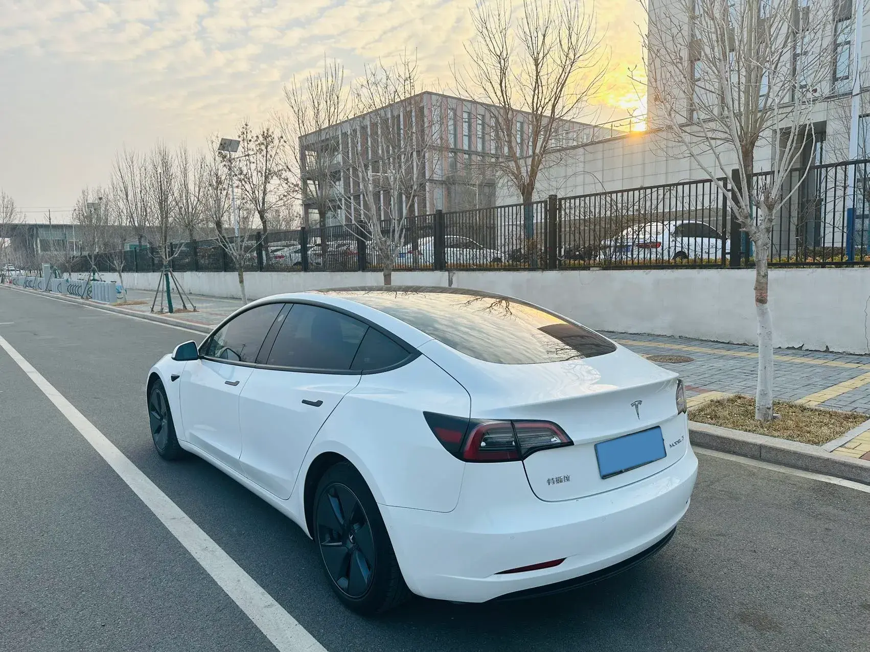 2021 TESLA MODEL thumbnail 4