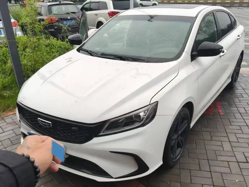 2020 GEELY BINRAY view 1