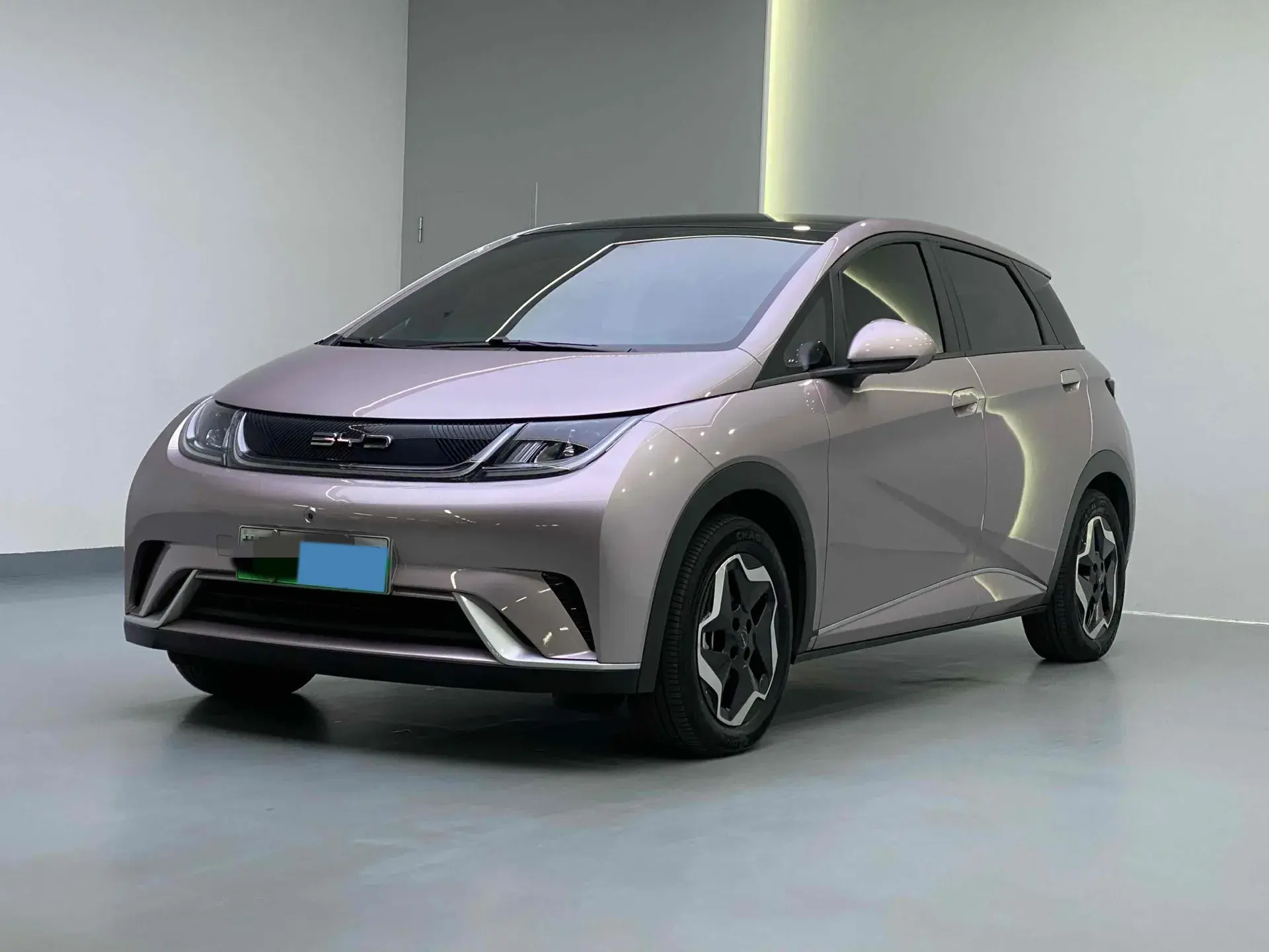 2021 BYD DOLPHIN view 1