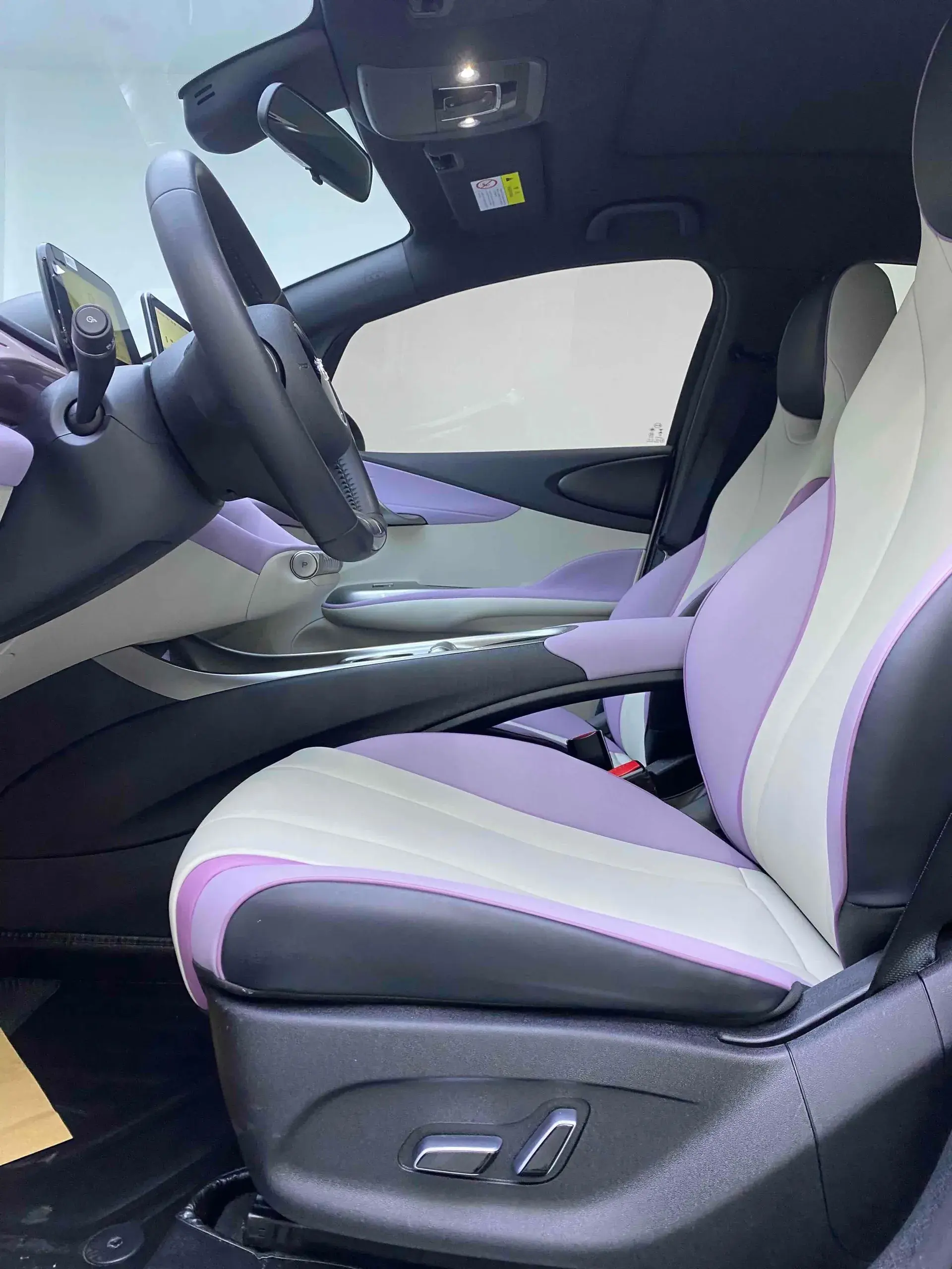 2021 BYD DOLPHIN thumbnail 4