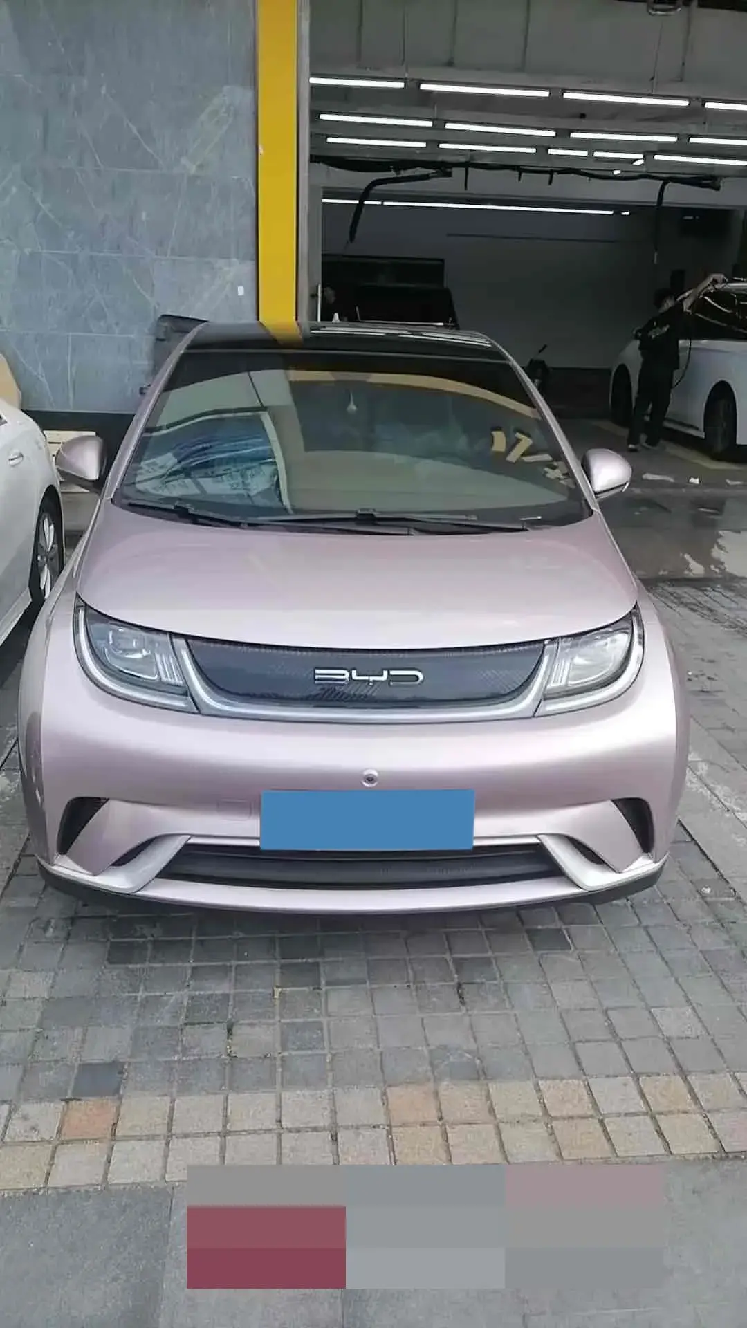 2021 BYD DOLPHIN thumbnail 2