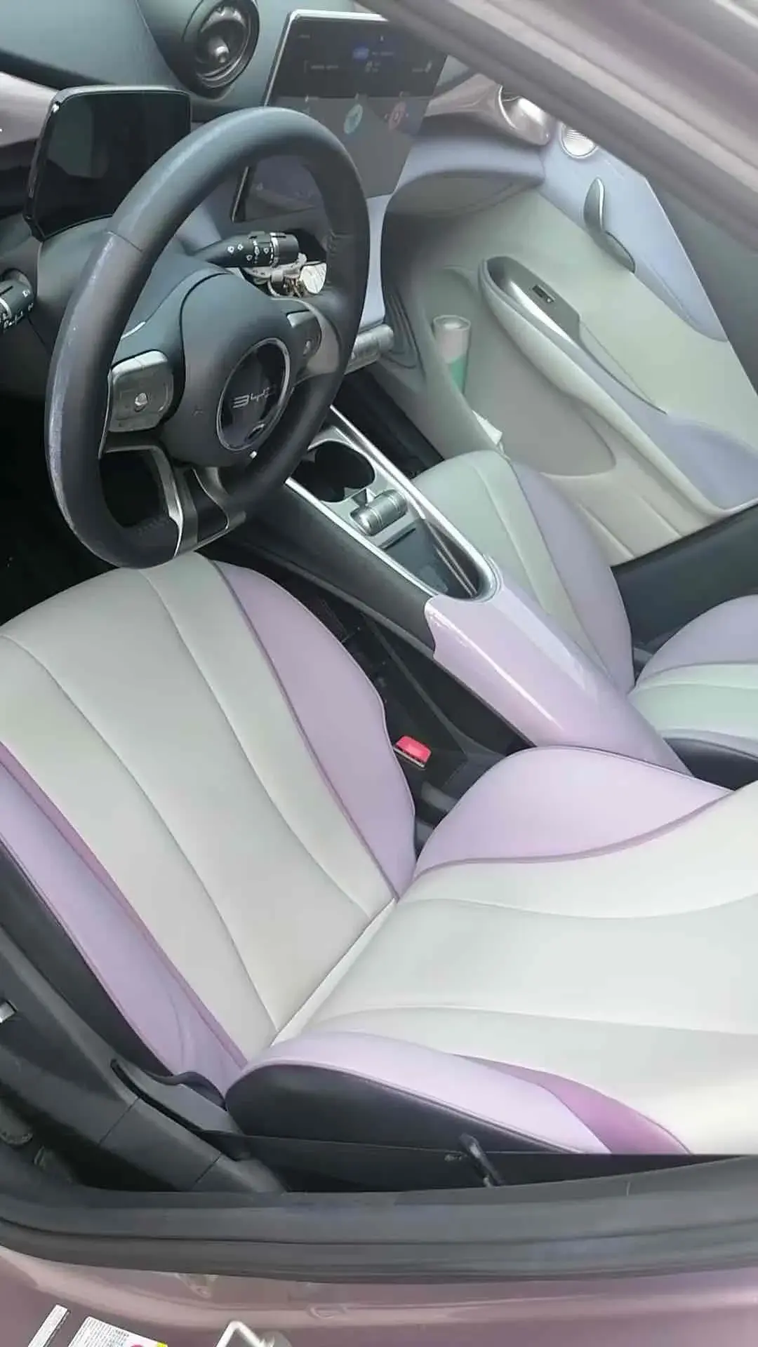 2021 BYD DOLPHIN thumbnail 3