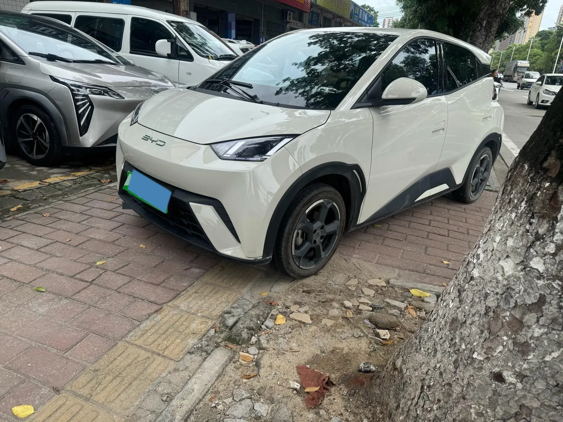 2023 BYD SEAGULL view 1