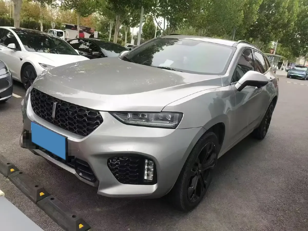 2019 WEY VV7 2.0T 227HP L4 7DCT