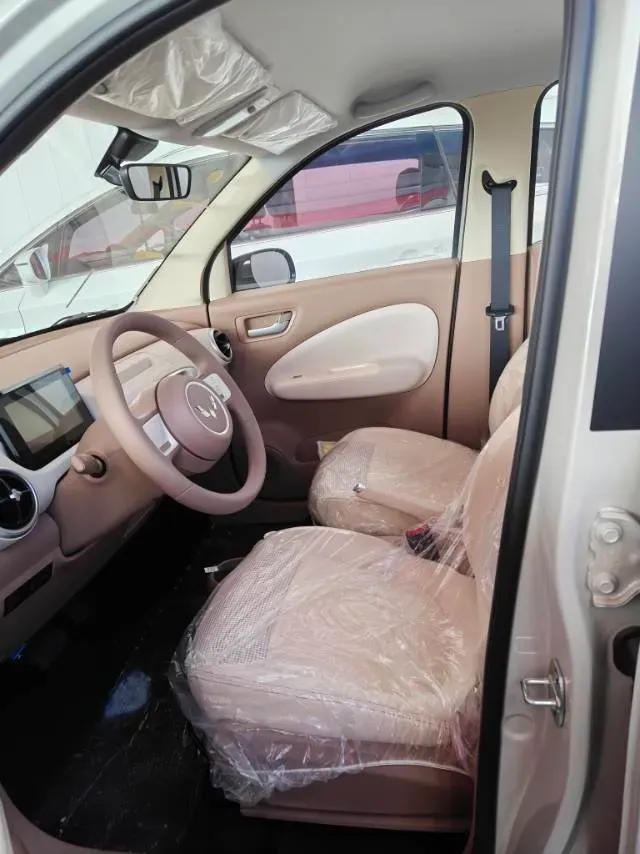 2025 WuLing HongGuang MINI EV BEV 16.2KWH,autocango,china used car exporter,china ev exporter,chinese used car exporter,chinese used ev exporter