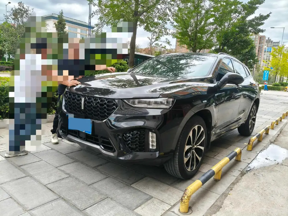 2019 WEY VV7 2.0T 234HP L4 7DCT