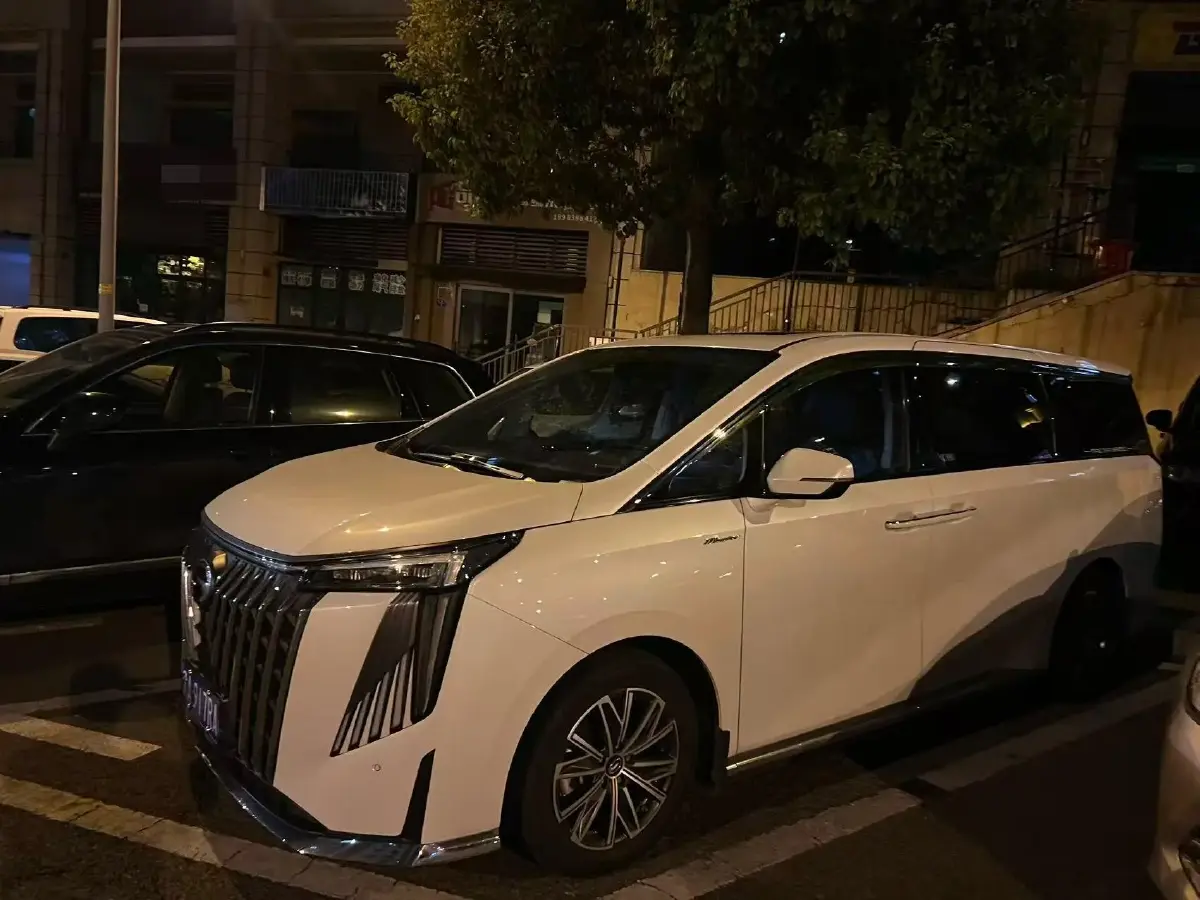 2024 GAC Trumpchi M8 2.0T 252HP L4 8AT