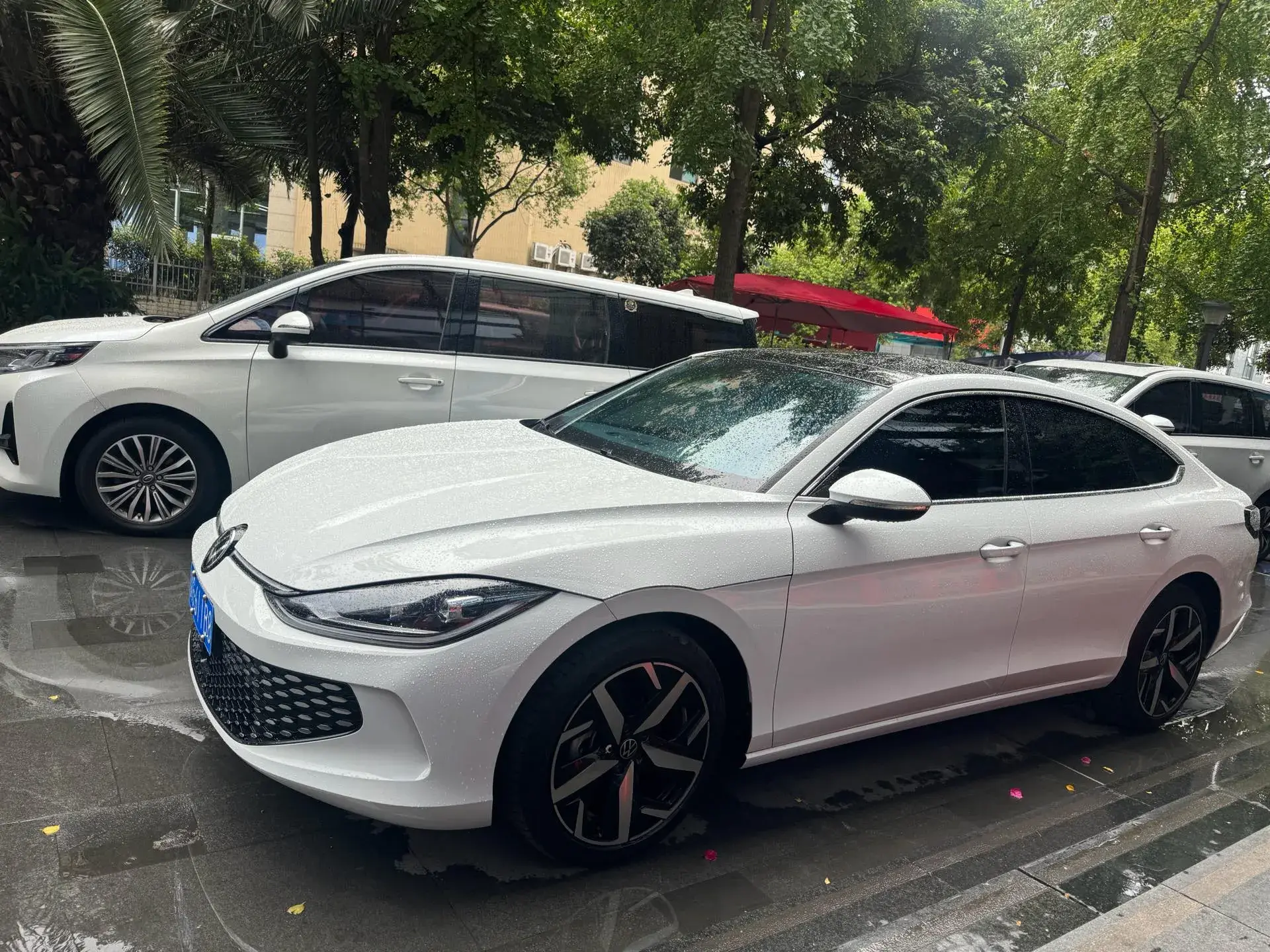 2024 VOLKSWAGEN LAMANDO view 1