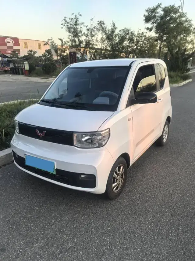 2020 WuLing HongGuang MINI EV BEV 9.3KWH
